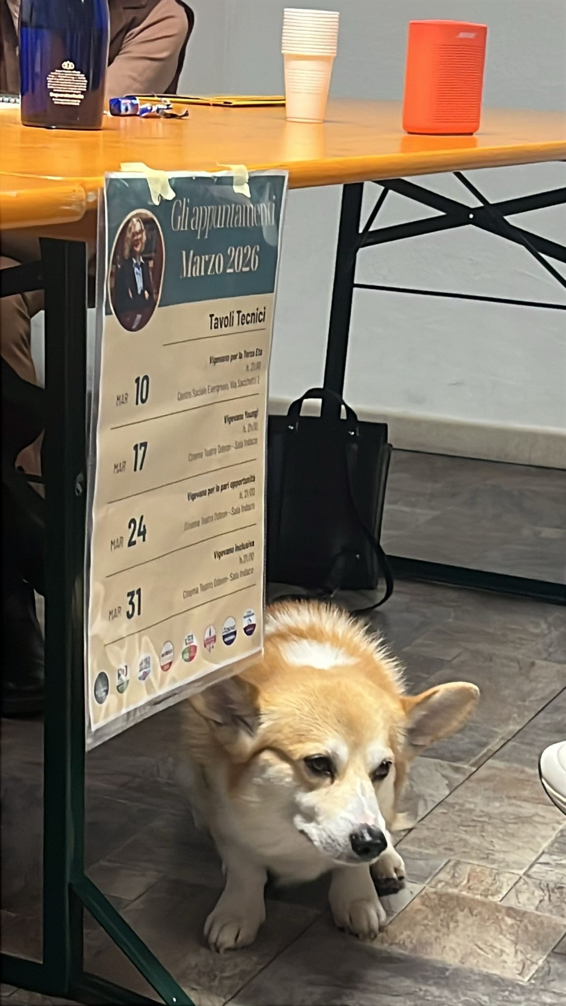 Coalizione Vigevano 2026